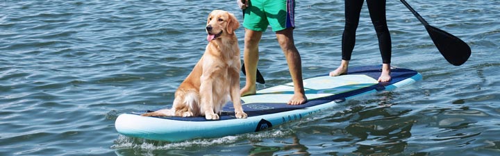 Aqua Marina Super Trip Paddle Board met hond